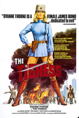 seo优化知识在哪里学引流